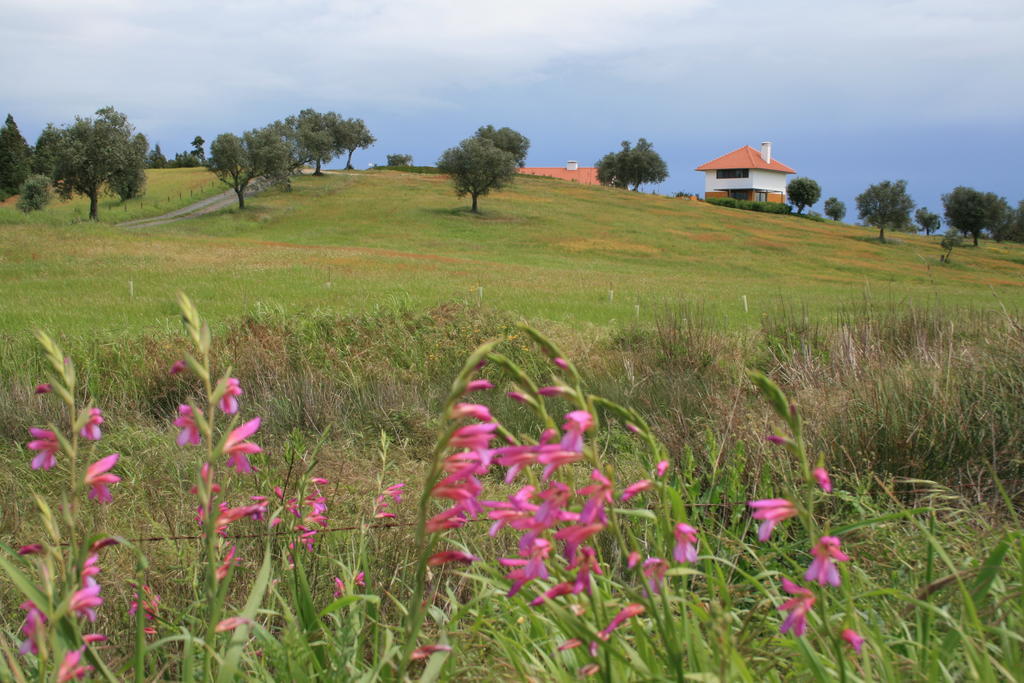 o vale da mudança Monte da Pedra Alva Quarto foto